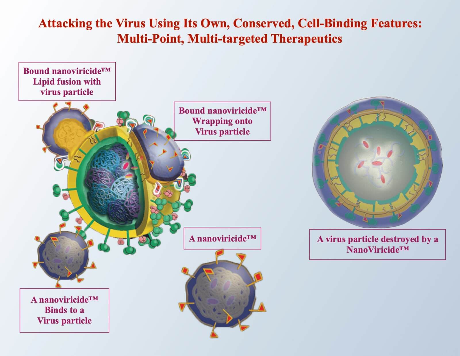 Nanoviricide Platform